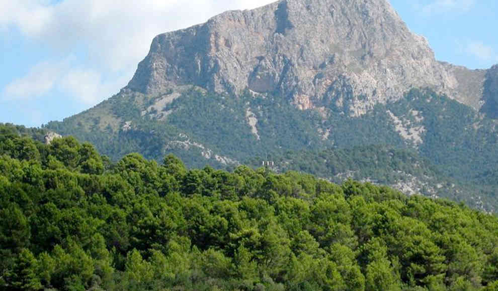 Mallorca ist ein Stück Deutschland