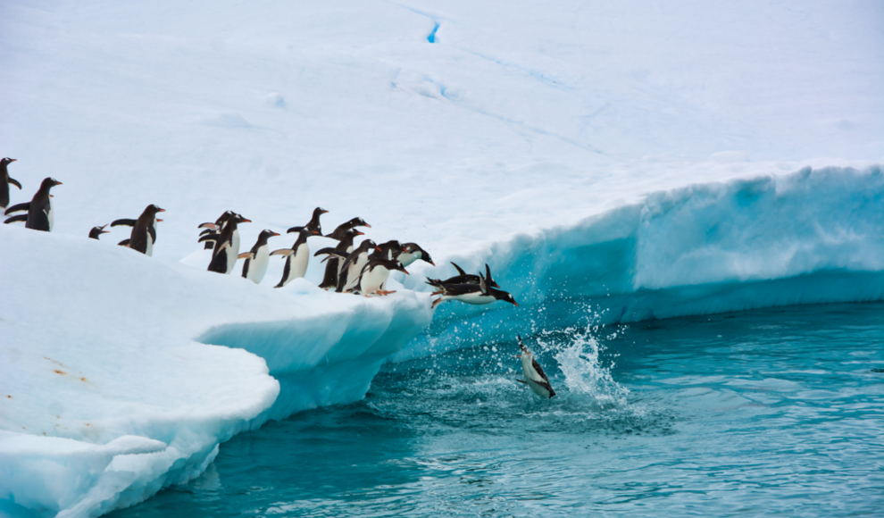 Antarktischer Eisschild (AIS) hat an Masse gewonnen