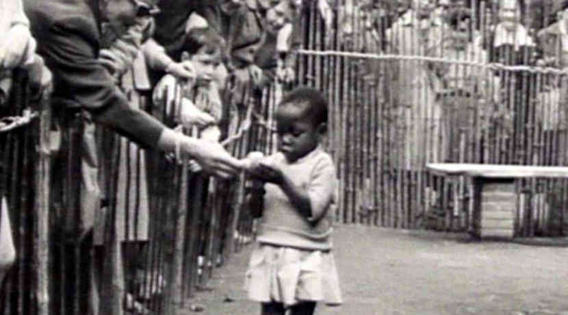 Bildergebnis für fotos von den wilden in den menschenzoos