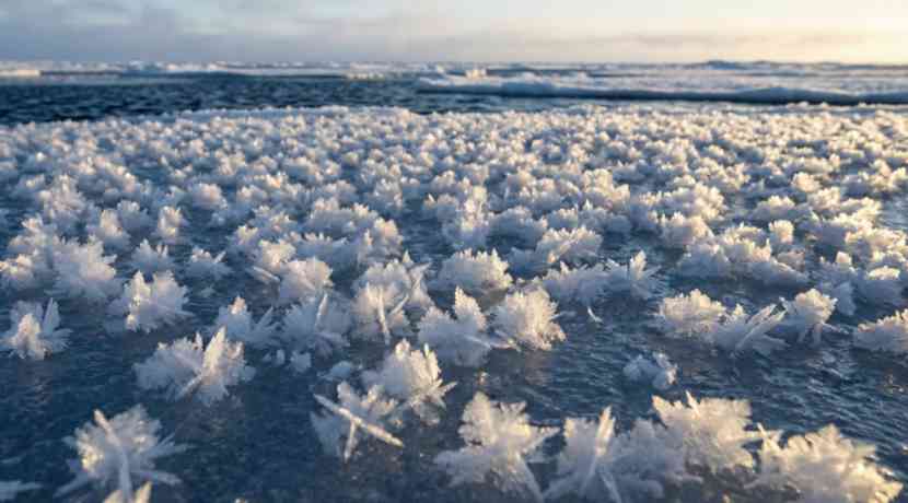 Seltenes-Naturph-nomen-Wie-Frostblumen-auf-dem-Meer-entstehen