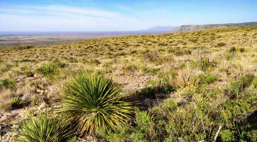 Mapim-Silent-Zone-ist-Mexikos-Bermudadreieck-nur-an-Land