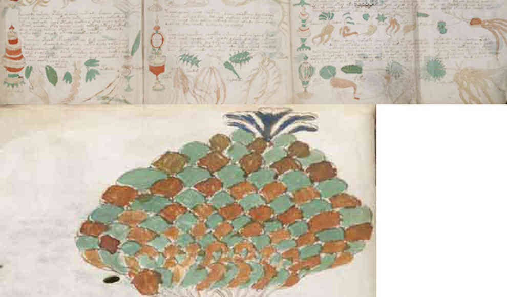 Das Voynich-Manuskript und seine Geheimnisse