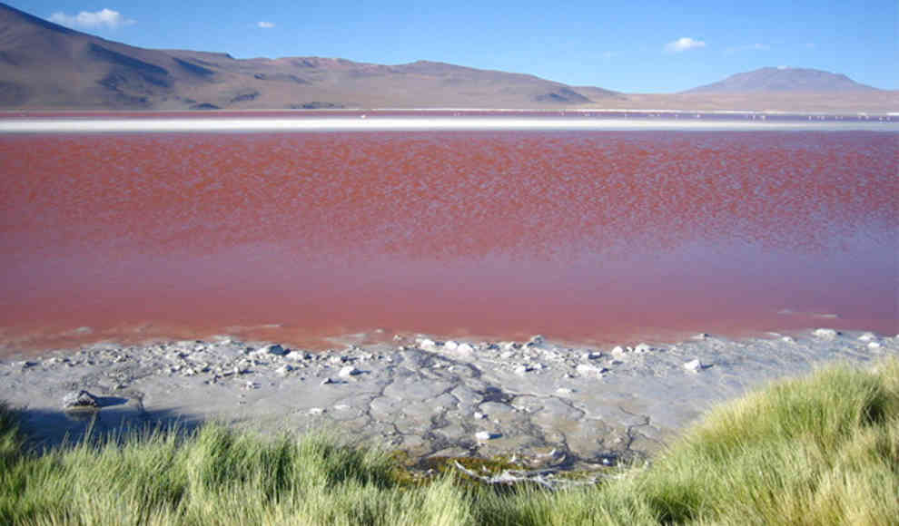 Laguna Colorada: Das Geheimnis der rote Lagune