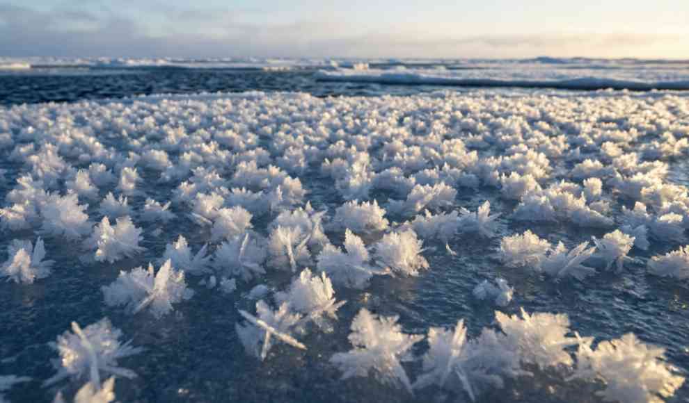Frostblumen Meer