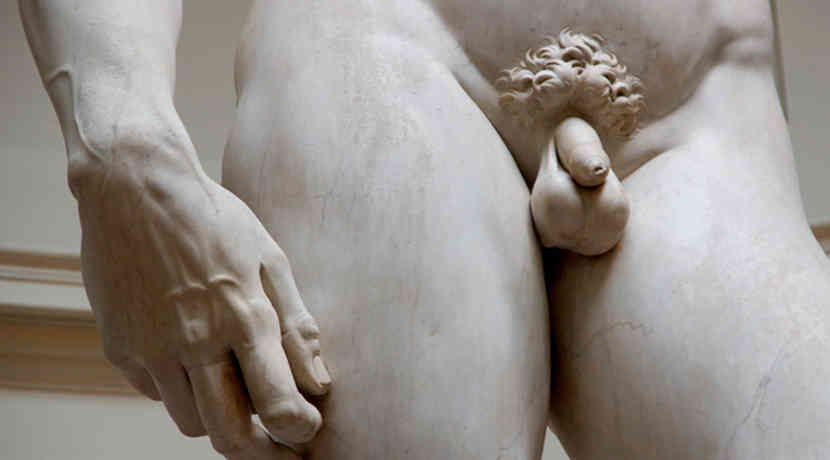 Wie sieht ein normaler penis aus
