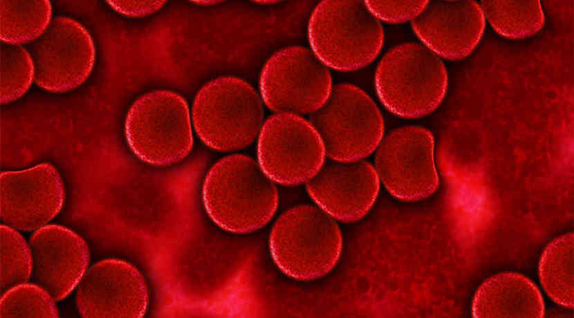 Enzym verändert Blutgruppe A oder B zu Blutgruppe 0