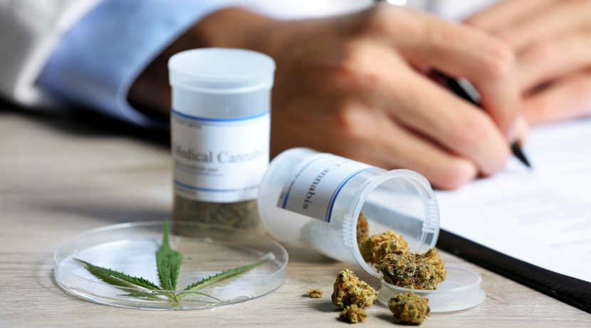 Cannabis-hilft-bei-Krebsschmerzen