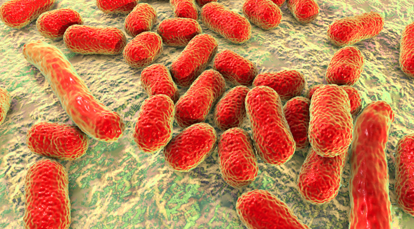 KI-findet-Antibiotikum-gegen-multiresistentes-Bakterium