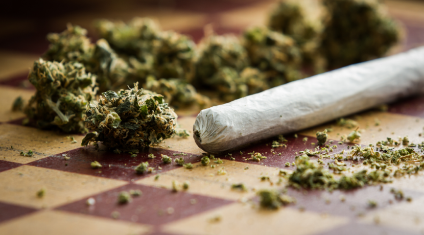 La cannabis forte raddoppia il rischio di psicosi nei giovani
