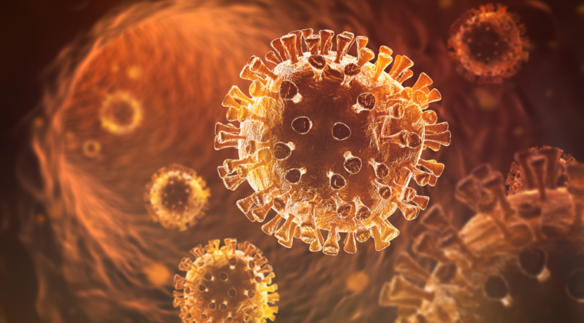 Coronavirus-SARS-CoV-2-kam-wohl-durch-den-Wildtierhandel-nach-Wuhan