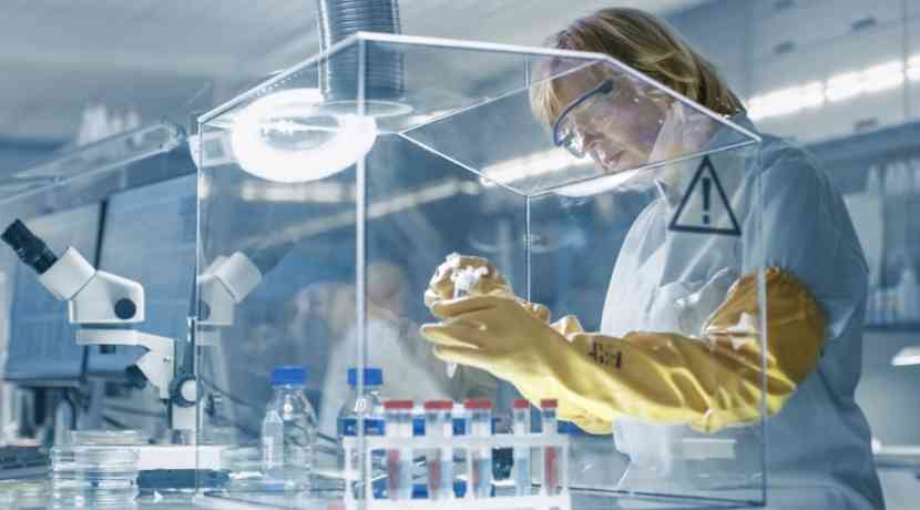 Extremer-Mutationshotspot-in-Bakterien-entdeckt