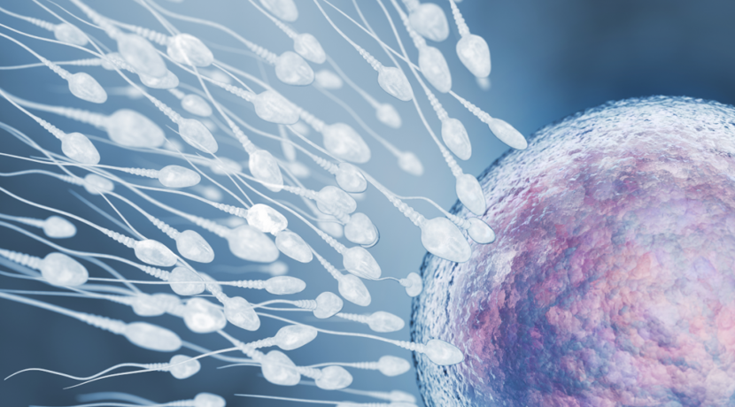 mRNA-Therapie-heilt-genetisch-bedingte-Unfruchtbarkeit-bei-M-nnern