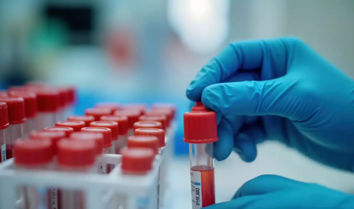 Bluttest offenbart Tumor DNA