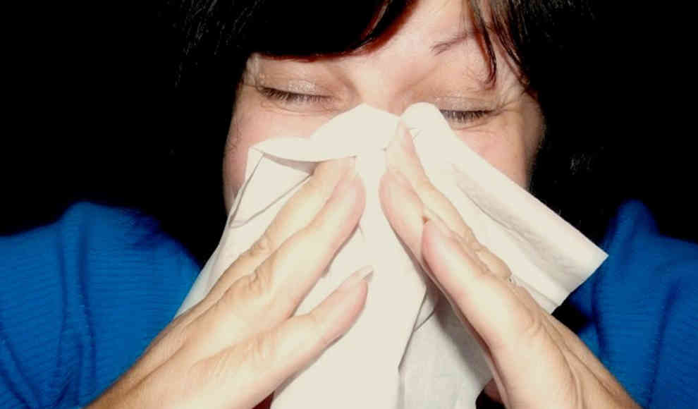 Grippe-Viren werden durch feuchte Luft geschwächt