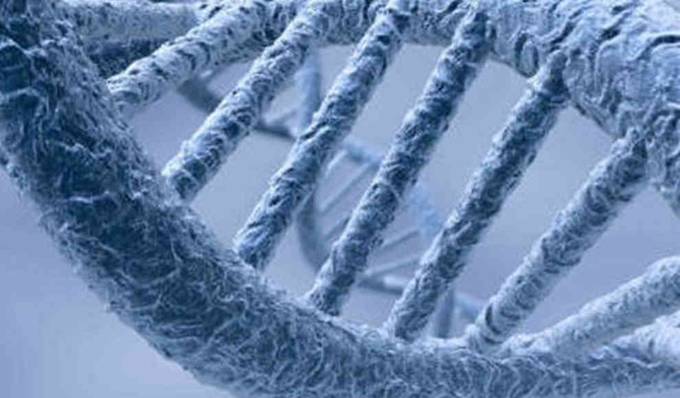 Nicht menschliche Gene in unserer DNA gefunden