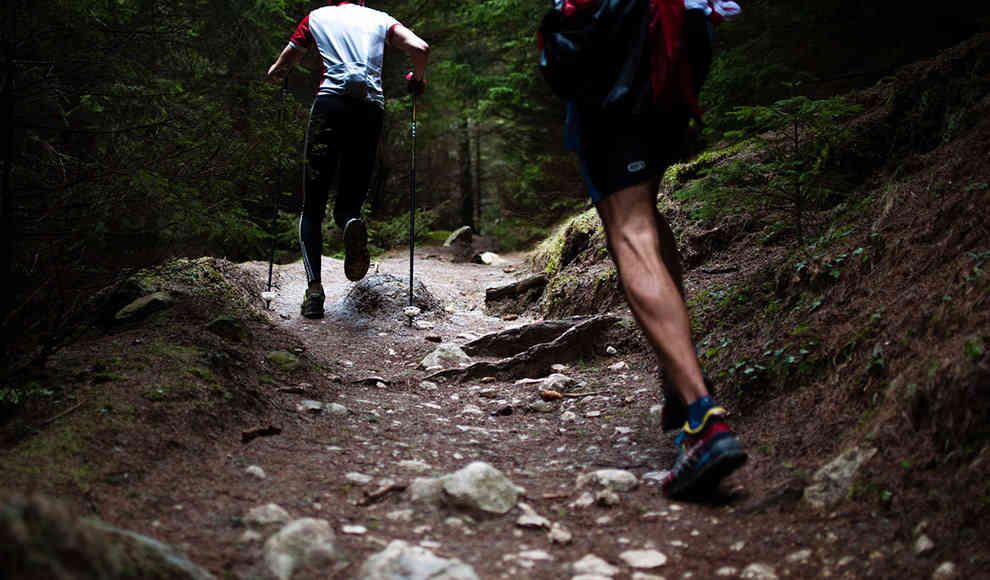 Sport im Wald