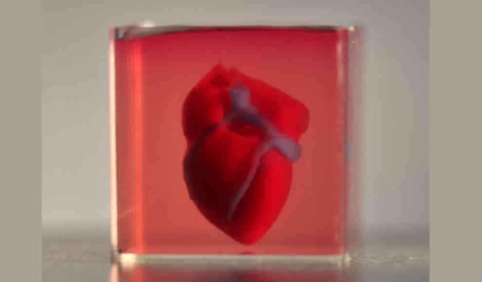 Künstliches Herz per 3D-Druck aus menschlichem Gewebe erzeugt