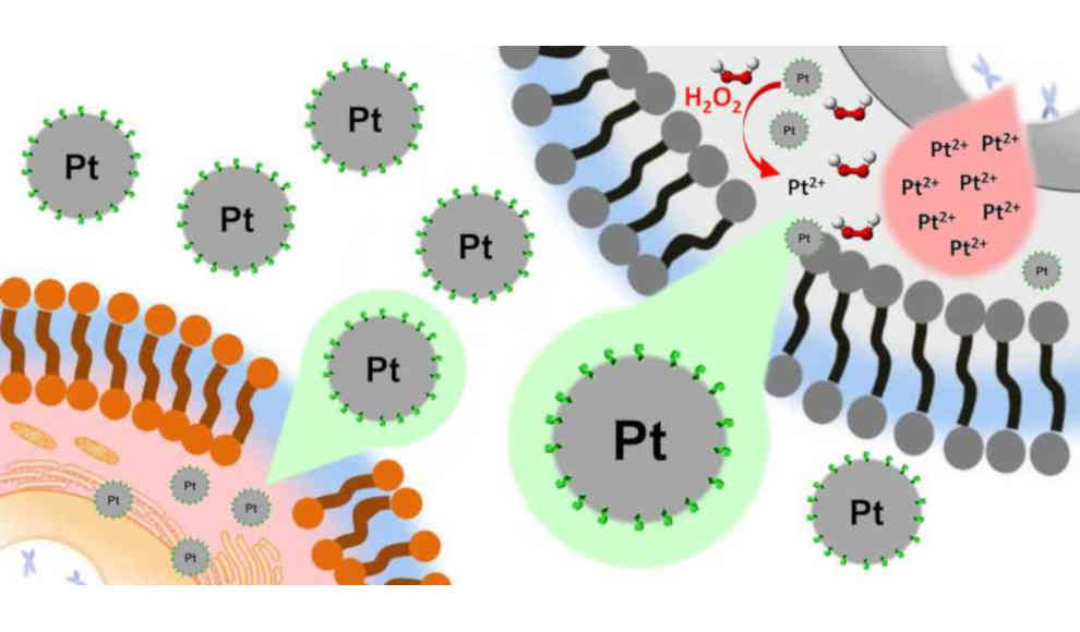 Platin-Nanopartikel