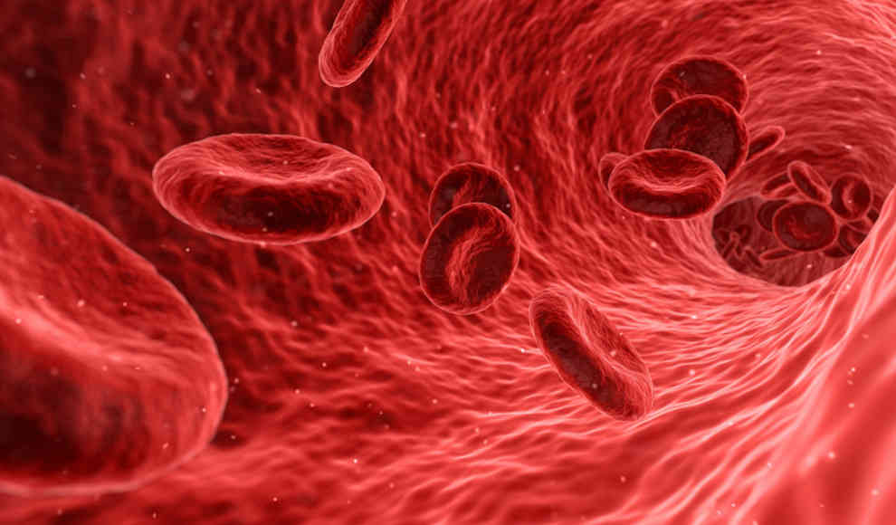 Amyloid-Proteine als Alzheimer-Frühindikator