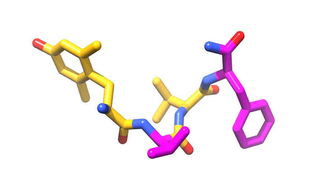 Tetrapeptid der Penicillium-Art MST-MF667