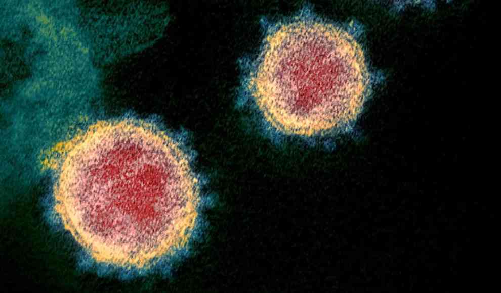 Coronavirus