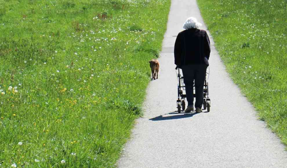 Ein Rollator erhöht die Mobilität von Senioren