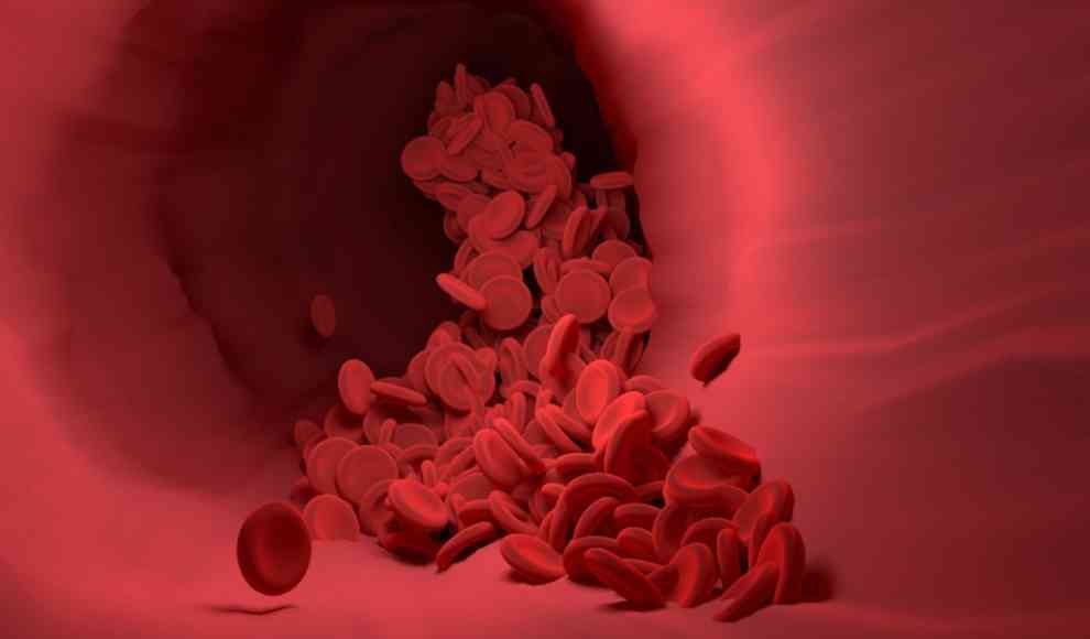 Bluttest erkennt Krebs