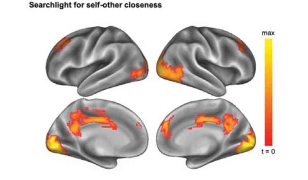 Aktivitätsmuster im Gehirn werden bei engen Beziehungen ähnlicher