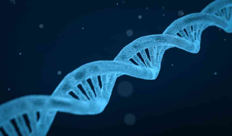Menschliches Genom 