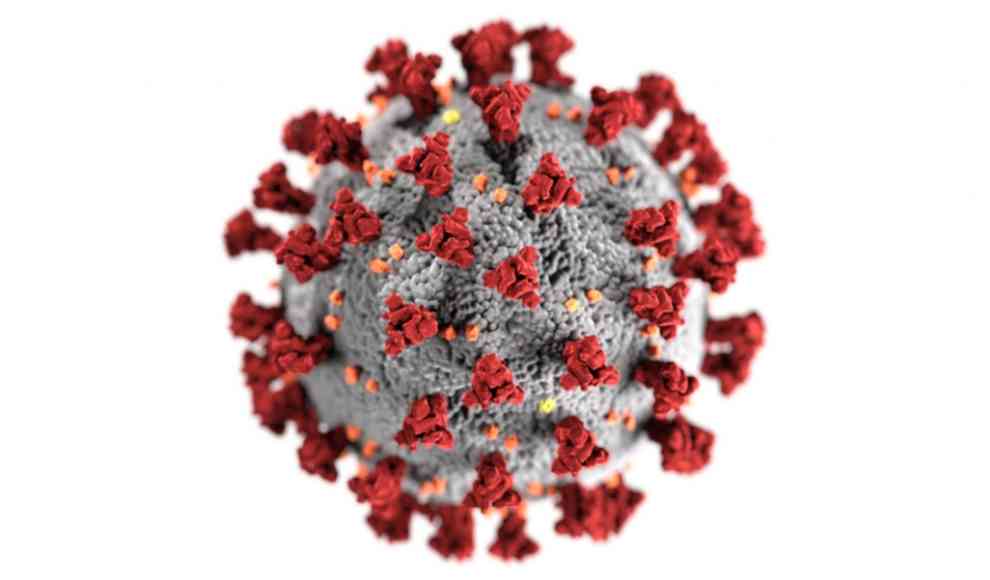 Coronavirus