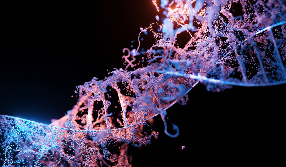 DNA des Menschen