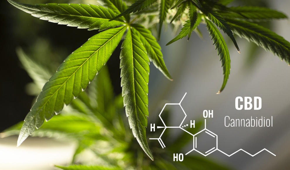 Cannabidiol (CBD) 