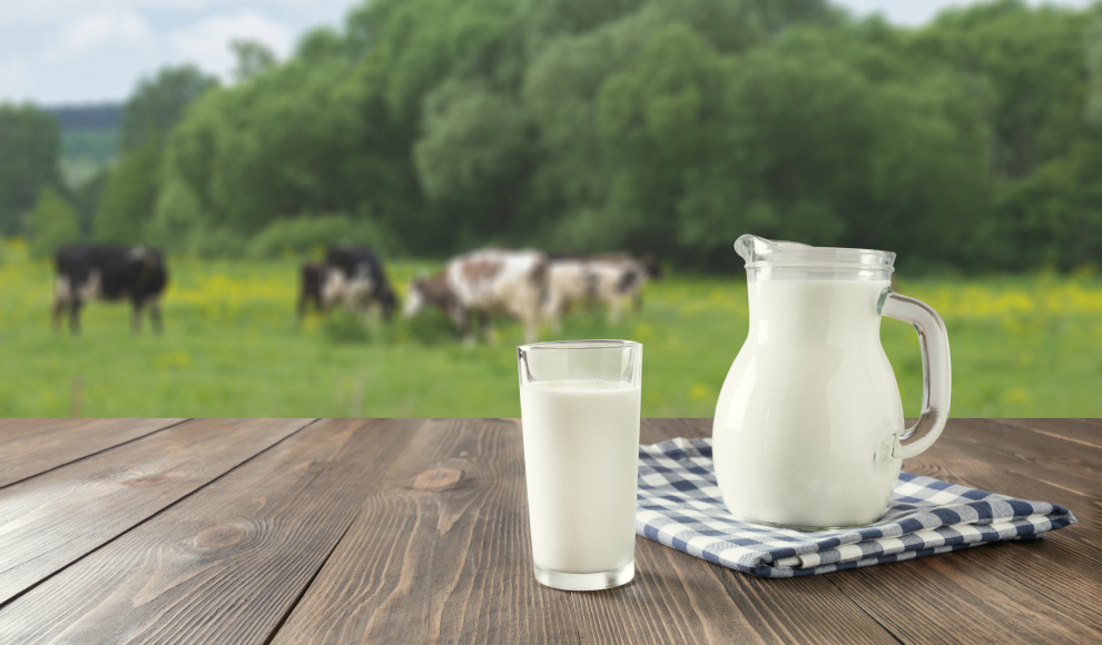 Milch reduziert Risiko für Herzkrankheiten 