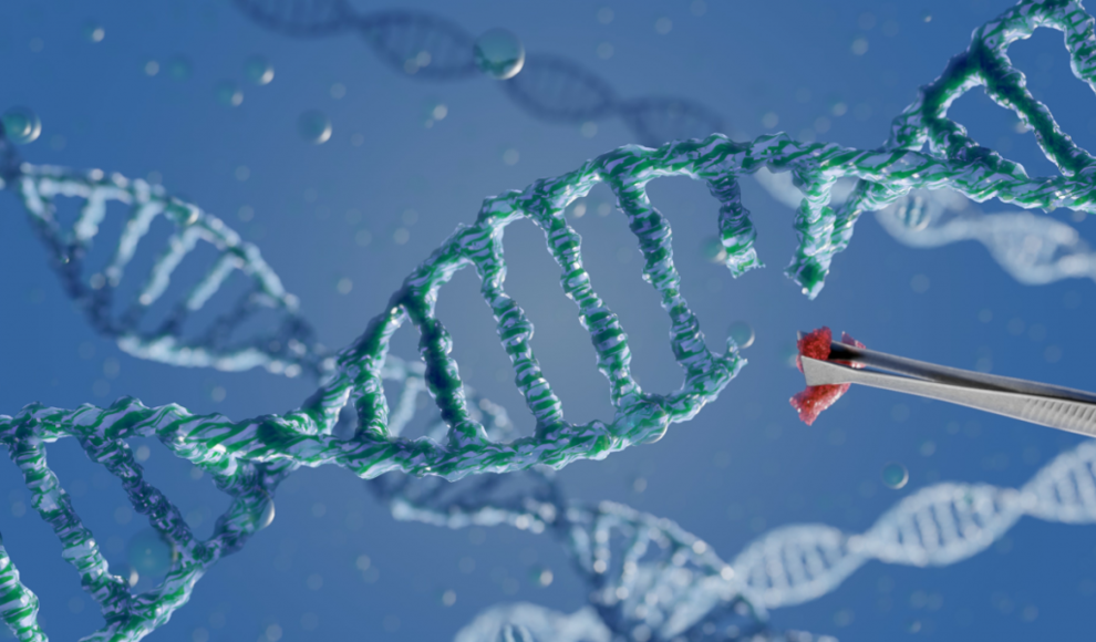 Behandlung mit der Genschere CRISPR/Cas 