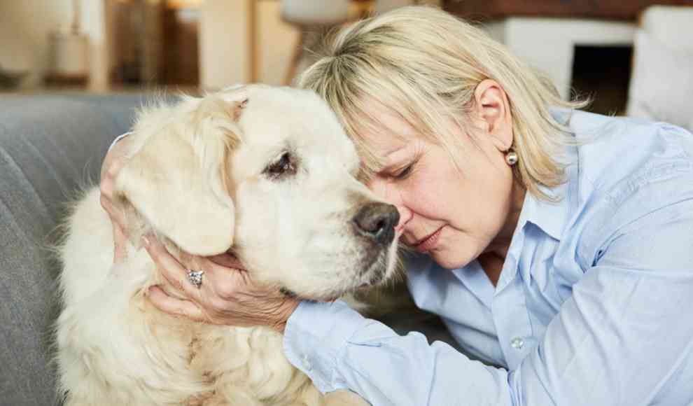 Haustiere fördern Gesundheit und Wohlbefinden