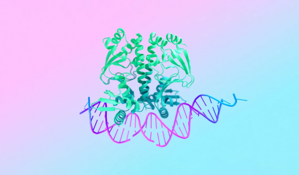 Proteinstruktur von Googles AlphaFold 3