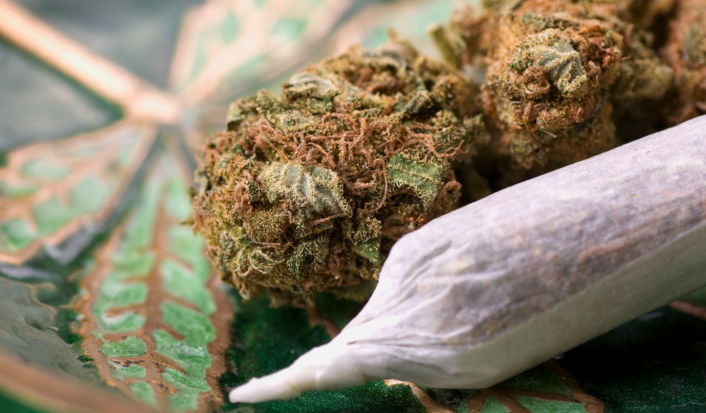 Cannabiskonsum erhöht das Demenzrisiko 