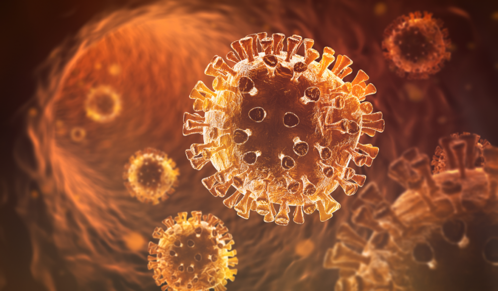 Wildtierhandel hat Coronavirus SARS-CoV-2 verbreitet