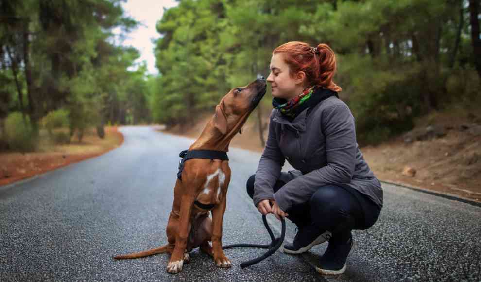 Mensch und Hund
