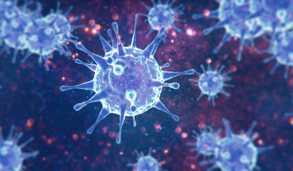 mRNA löst Immunreaktion gegen alle Viren aus