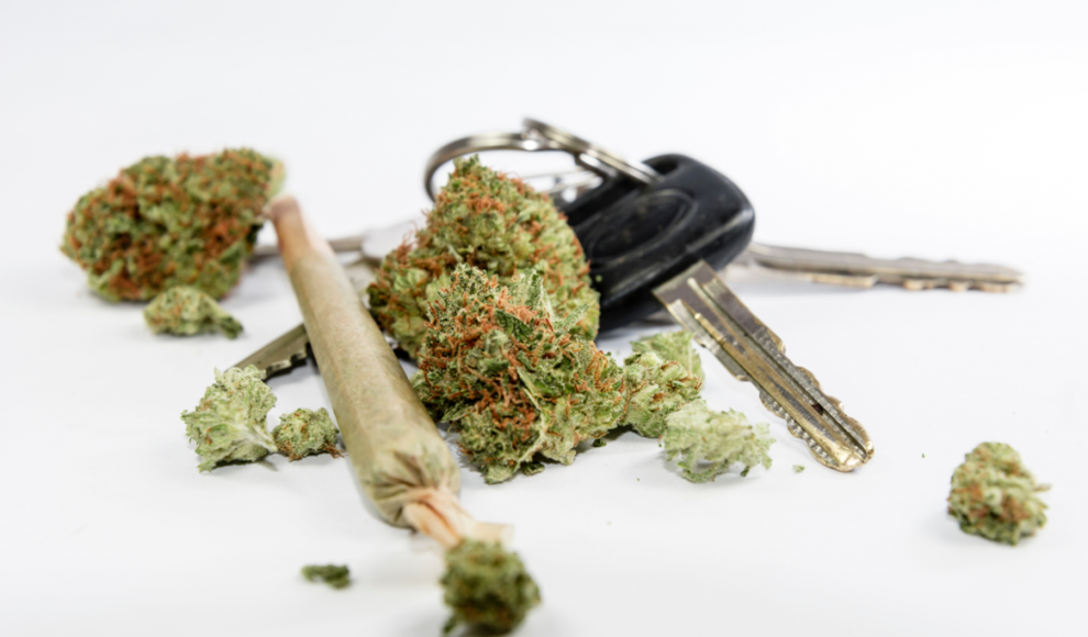 Fahrbeeinträchtigung durch Cannabis nimmt schnell ab
