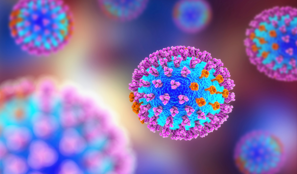 Neue Therapie aktiviert Immunsystem gegen Grippeviren