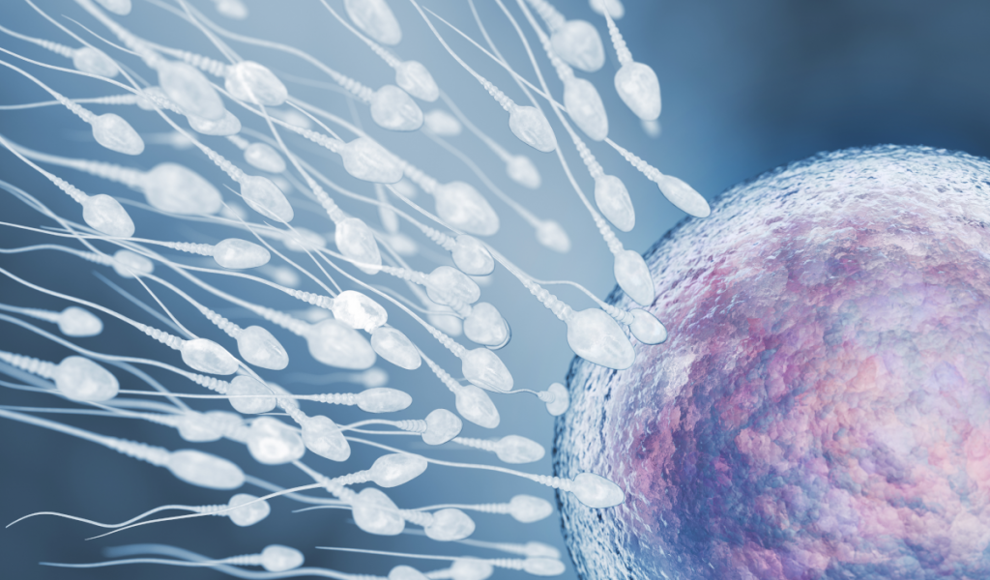 mRNA heilt nicht-obstruktive Azoospermie (NOA)