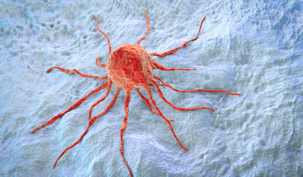 Nanopartikel-basierter Impfstoff gegen Krebs