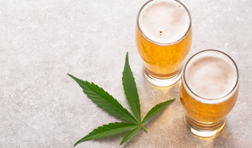 Cannabis erhöht den Alkoholkonsum nicht