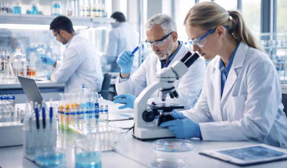 Immunzellen erinnern sich an ihren Aufenthaltsort