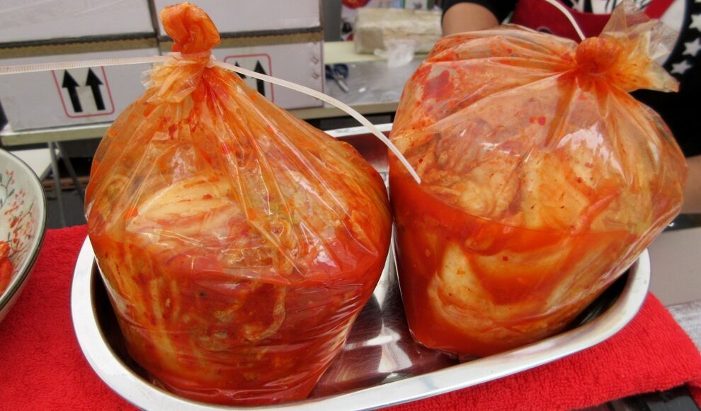 Kimchi-Bakterium hilft Mäusen Nanoplastik auszuscheiden