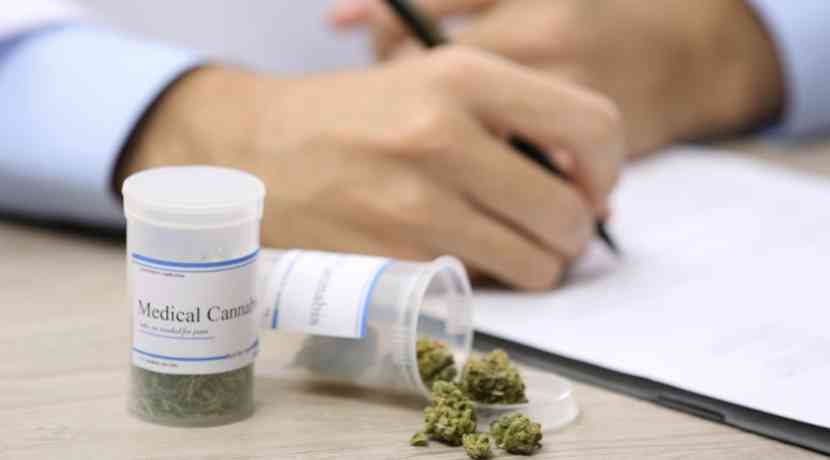 Cannabis-Modellversuch-senkt-riskante-Konsummuster-messbar