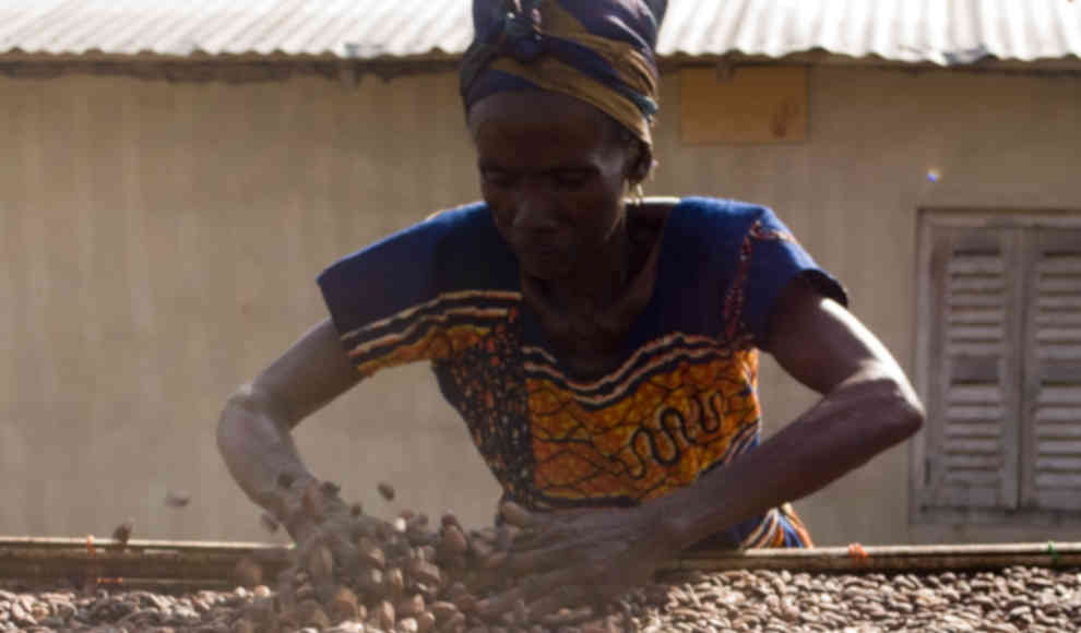 Landarbeiter eines Fairtrade-Betriebs