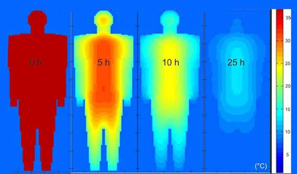 Thermodynamisches Körpermodell